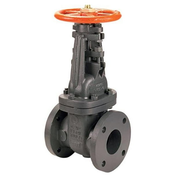 6 In. Class 125 Gate Valve Flange 